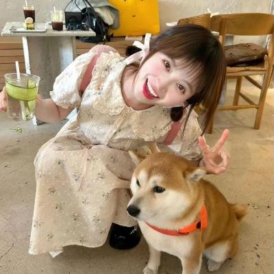 红白黑黄第七季